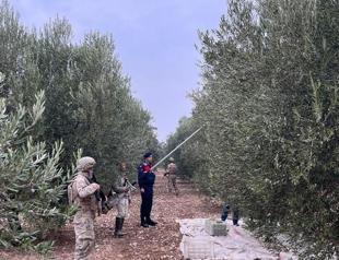 Türkiye extends ban on olive oil exports