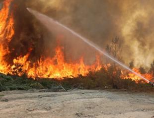 Manavgat reforestation efforts ‘lack measure for next fires’