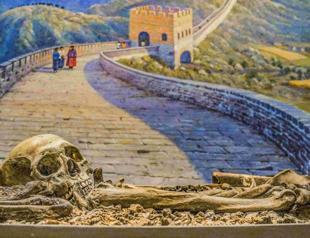 NY museum pulls human remains from display