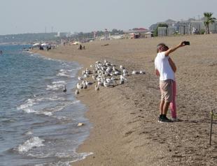 Expert calls for protection of town hosting endemic species