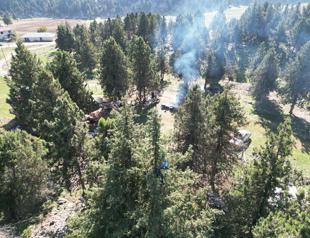 Forests to be established in all 81 cities in nationwide campaign: Minister