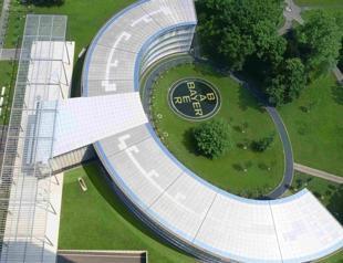 Chemical giant Bayer to cut management jobs after huge loss