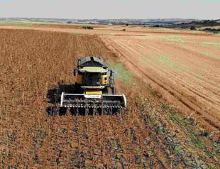 Drought threatens Türkiye’s agricultural future, ministry warns