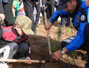 Reforestation effort takes place in Istanbul