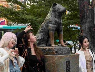 Japans ever-faithful dog turns 100