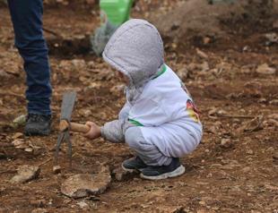 Republic forests established in all 81 cities