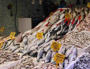 Turkish aquaculture exports surpass $1.4 bln in 10 months