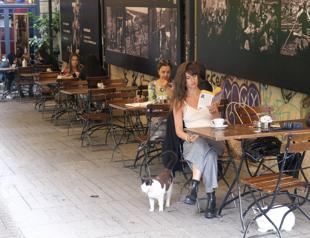 While-collar workers cutting on eating out, travel