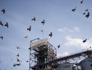 Ukraine shipping more grain despite threat from Russia