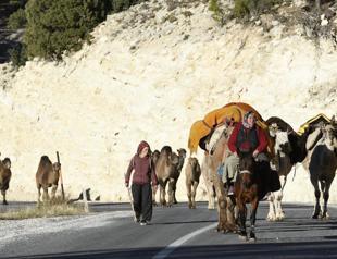 Turkish nomads embark on winter migration
