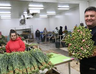 Christmas flower exports started to Europe worth $20 mln