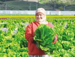 Türkiyes first eco-village attracts visitors