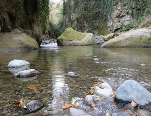 Türkiyes longest canyon nominated for Guinness