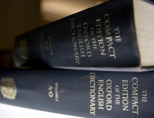 ‘Rizz charms Oxford wordsmiths to win word of 2023