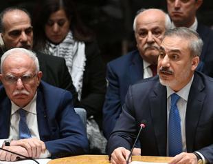 Gaza contact group to urge US, Canada for immediate ceasefire