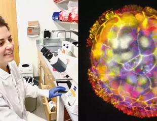 Turkish scientist made living robots from human DNA