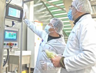 Some 40 pct of firms engage in innovation activities