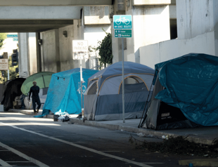 US homeless count hits record level: Report