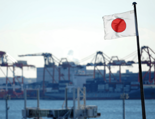 Japans trade shrinks in November