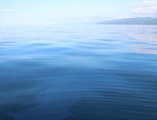 1 ton of oil flows to sea surface per day in Rize