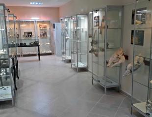 Findings throw light on Istanbul’s wildlife history