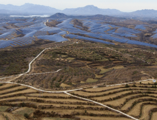 Wind and solar grow despite economic challenges