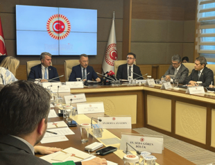 Parliament unlikely to vote on Swedens NATO bid for weeks