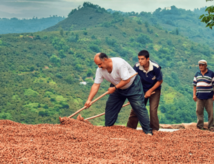 Turkish hazelnuts exported to 121 countries