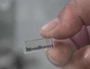 Ancient fig seeds found in Yassıtepe Mound