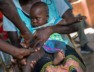 Cape Verde becomes third African country to eliminate malaria