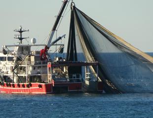 Adverse weather hits fishing sector