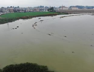 Extreme downpours in Hatay cause floods, damage fields