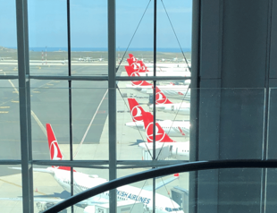 Turkish Airlines to double fleet size in 10 years