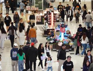 40 pct of consumers influenced by online ads: Report