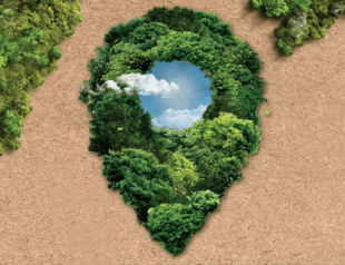 Worth the local, worth the world