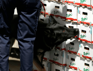 EU ports urged to team up to fight very creative drug smugglers