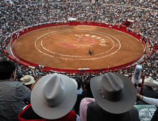 Bullfighting resumes in Mexico City despite protests