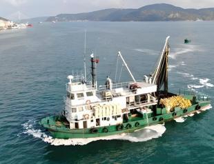 Claims of coastal fishing in Bosphorus spark debate