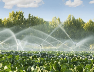 Night irrigation boosts efficiency amid drought in Turkish farms
