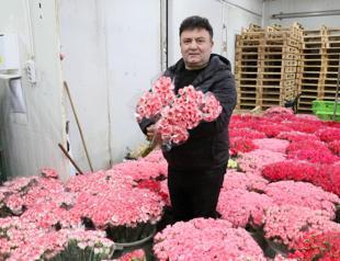 Flower exports to Europe surge before Valentine’s Day