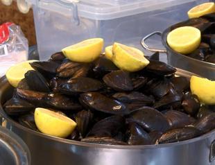 Microplastics found in mussels in Bosphorus Strait: Study