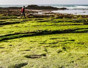 Human footprints 100,000 years old found in Morocco