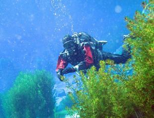 Turquoise gem Lake Gökpınar closes for divers