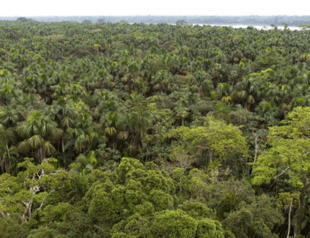 Ancient city in Ecuador faces encroachment from farms, roads