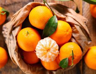 Citrus exports exceed $1 billion in 2023