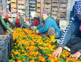 New regulations to enhance rights of seasonal agricultural laborers