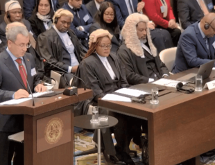 Türkiye urges top UN court to hold Israel accountable for violations