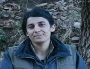 Senior PKK terrorist ‘neutralized’ in northern Iraq