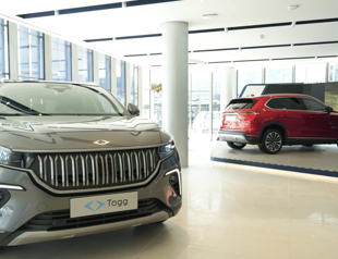 Auto market expands by 31 percent in February