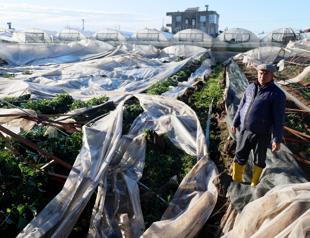 1 in 3 Turkish cities grapple with climate crisis: Research